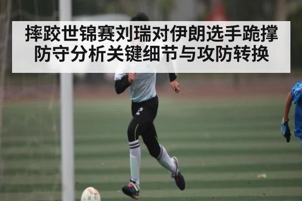 摔跤世锦赛刘瑞对伊朗选手跪撑防守分析关键细节与攻防转换